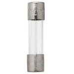 Fast-Acting Glass Fuse - 3.15A, 125V AC, 10kA