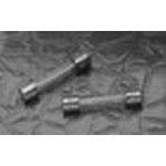 Glass Fuse - 1.2A, Time Delay, 250VAC, Cylindrical, Mounting Clip