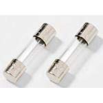 2A Glass Fuse - Slow Blow - 5x20mm - 250V AC