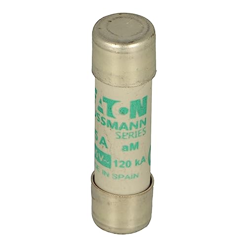 Time Delay Glass Tube Fuse - 1A, 10.3x38mm, Ceramic Material