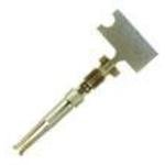 Socket Contact Gold Crimp 22-26 AWG Stamped