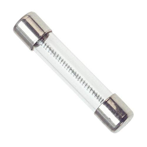 SLO-BLO 3AG TYPE GLASS FUSE