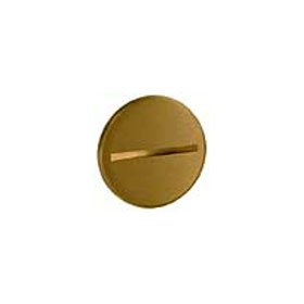 Brass Flush Plug for Brass Covers 6285 and 6289