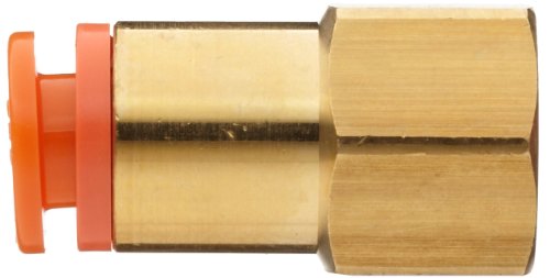 Brass Female Connector - NPT 1/8 in